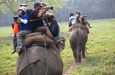 Jungle Safari in Nepal Jungle Safari in Nepal